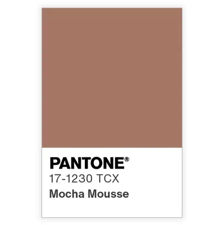 Pantone Mocha Mousse